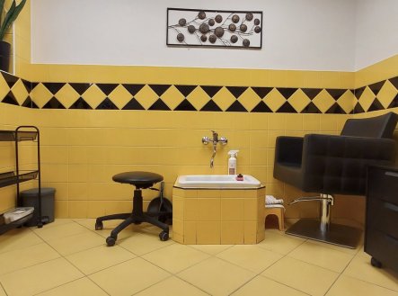 Pronájem obchodní prostory, 10 m²