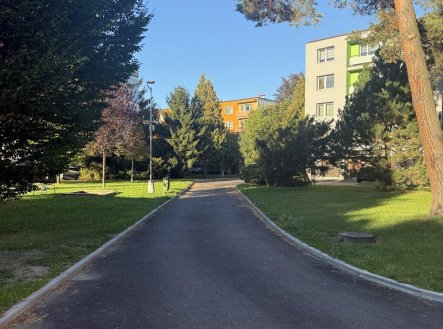 Pronájem bytu, 3+1, 82 m²
