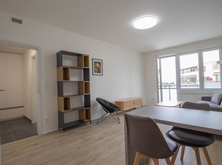 Pronájem bytu, 2+kk, 54 m²