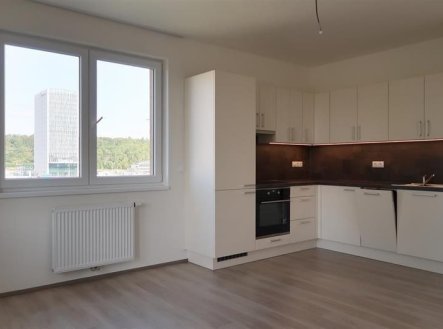 Pronájem bytu, 3+kk, 66 m²