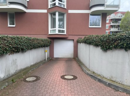 Pronájem