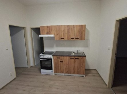 Pronájem bytu, 2+1, 50 m² obrázek