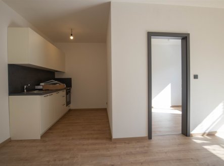 Pronájem bytu, 3+kk, 54 m²