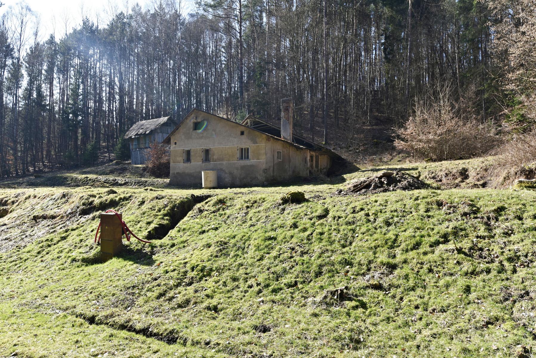 DSC_0343.JPG