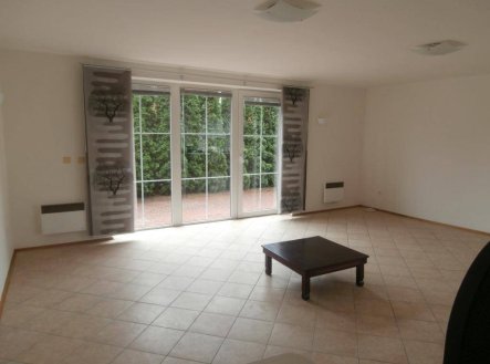 Pronájem domu/vily, 250 m²