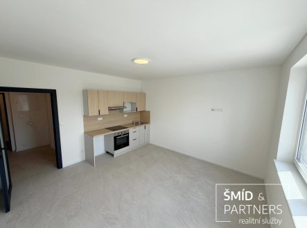 Pronájem bytu, 3+kk, 58 m²