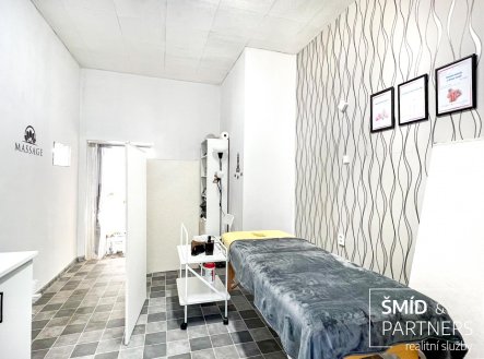 Prodej nájemního domu, 540 m²
