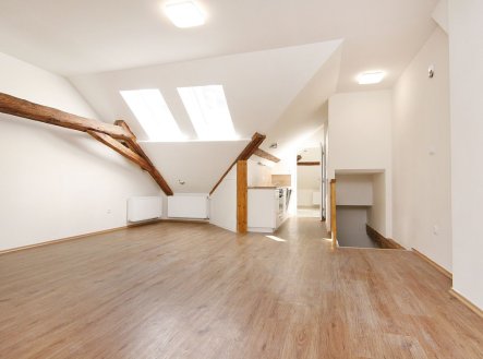 Pronájem bytu, 1+kk, 53 m²