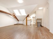 Pronájem bytu, 1+kk, 53 m²