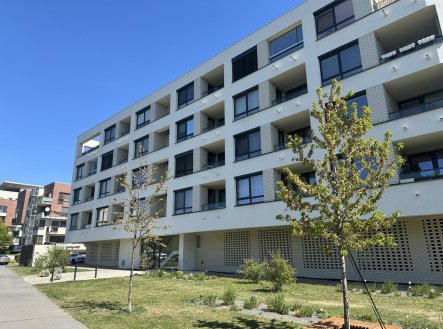 Prodej bytu, 1+kk, 30 m²