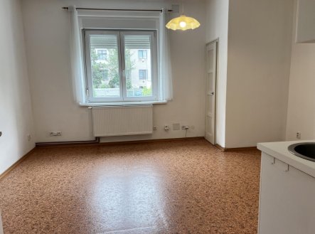 Pronájem bytu, garsoniéra, 22 m²
