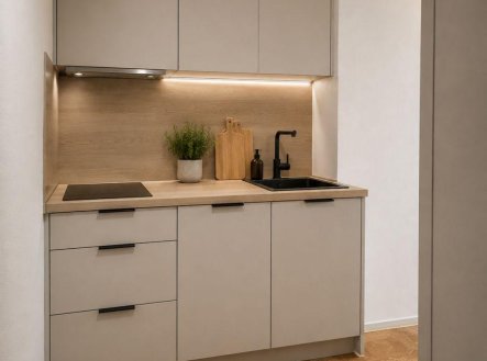 Prodej bytu, 1+1, 60 m²