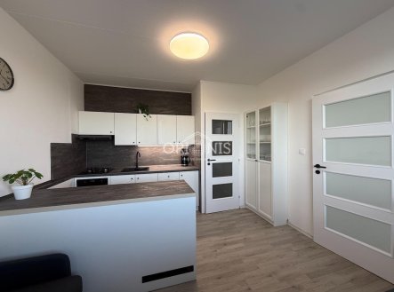 Prodej bytu, 1+1, 40 m²