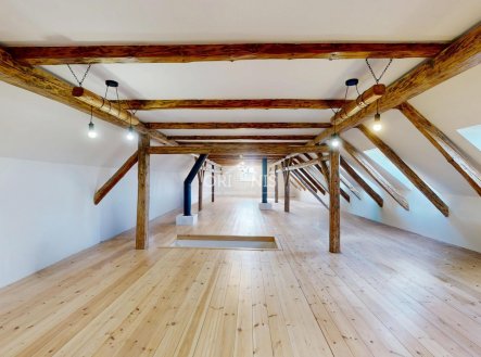 Prodej domu/vily, 500 m²