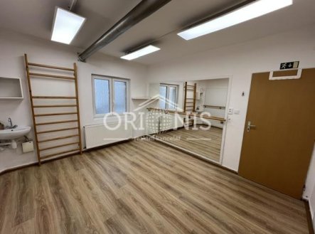 Pronájem komerčního objektu, jiný, 40 m²