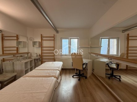 Pronájem komerčního objektu, jiný, 40 m²