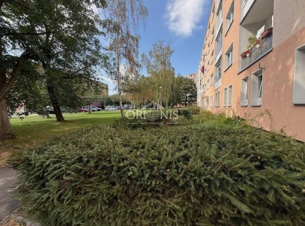 Prodej bytu, 2+1, 53 m²