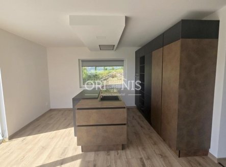 Pronájem domu/vily, 130 m²