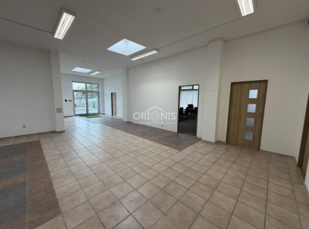 Pronájem obchodní prostory, 217 m²