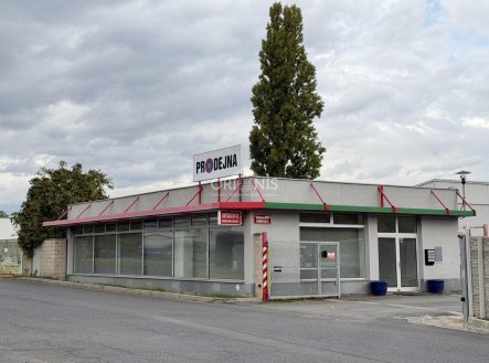 Pronájem obchodní prostory, 217 m²