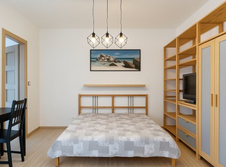 Pronájem bytu, 1+1, 31 m²