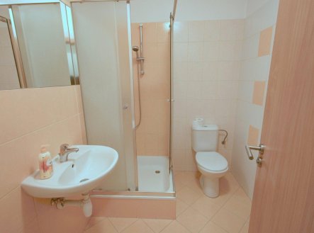 Pronájem bytu, 1+kk, 30 m²