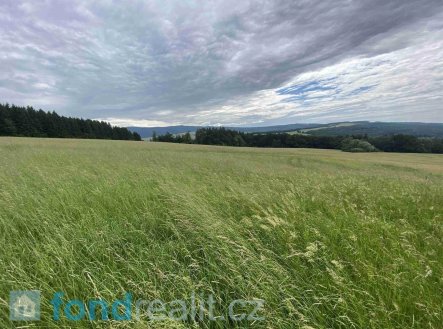 Prodej pozemku, zemědělská půda, 7 545 m²