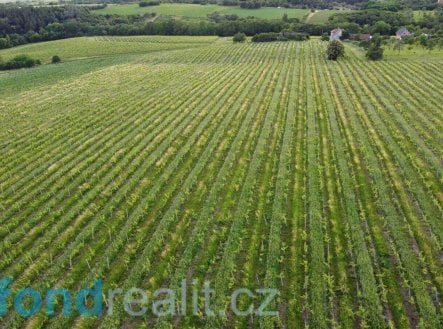 Prodej pozemku, ostatní, 4 878 m²