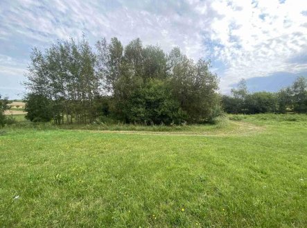 Prodej pozemku, ostatní, 4 446 m²