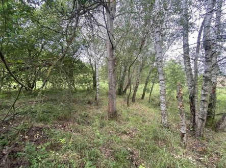 Prodej pozemku, ostatní, 4 446 m²