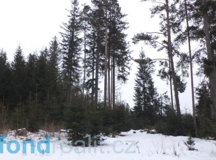 Prodej pozemku, ostatní, 1 694 m²