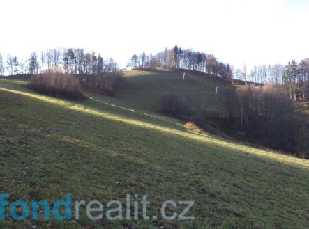 Prodej pozemku, zemědělská půda, 13 881 m²