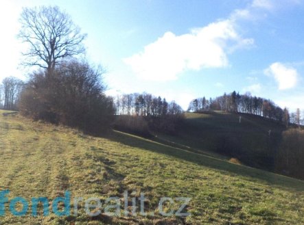 Prodej pozemku, zemědělská půda, 13 881 m²