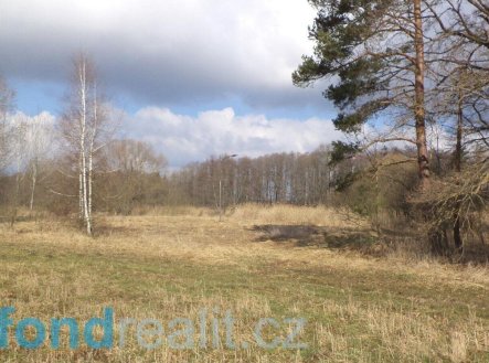 Prodej pozemku, ostatní, 2 131 m²