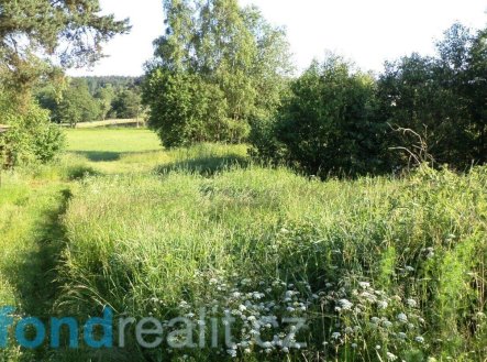 Prodej pozemku, trvalý travní porost, 9 504 m²