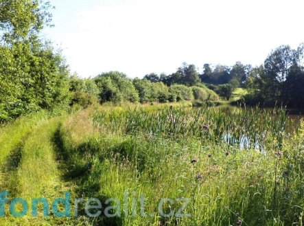 Prodej pozemku, trvalý travní porost, 9 504 m²