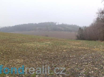 Prodej pozemku, zemědělská půda, 41 964 m²