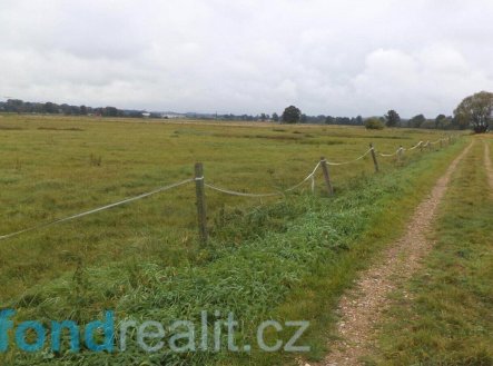 Prodej pozemku, zemědělská půda, 1 454 m²