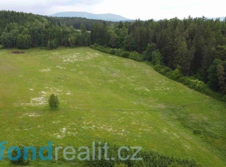 Prodej pozemku, zemědělská půda, 6 699 m²