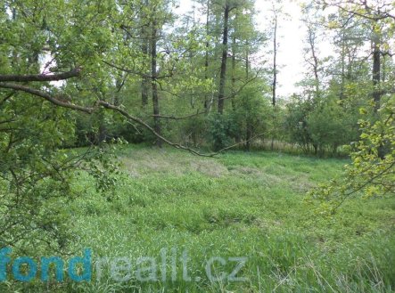 Prodej pozemku, ostatní, 1 844 m²
