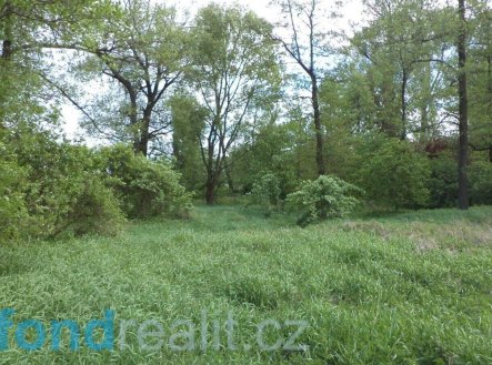 Prodej pozemku, ostatní, 1 844 m²