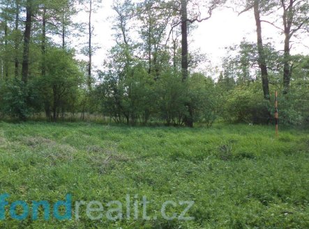 Prodej pozemku, ostatní, 1 844 m²