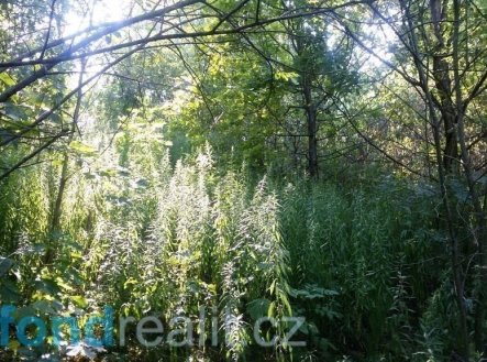 Prodej pozemku, ostatní, 1 510 m²