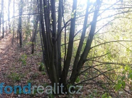Prodej pozemku, ostatní, 1 510 m²