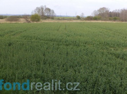 Prodej pozemku, zemědělská půda, 3 467 m²