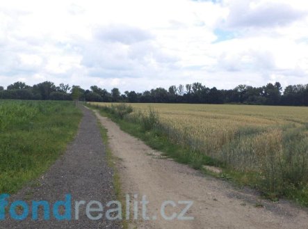 Prodej pozemku, ostatní, 6 038 m²