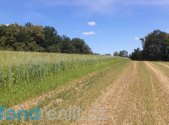 Prodej pozemku, zemědělská půda, 18 412 m²