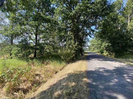 Prodej pozemku, ostatní, 200 m²