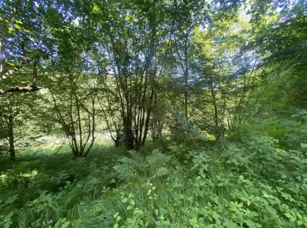 Prodej pozemku, ostatní, 3 924 m²