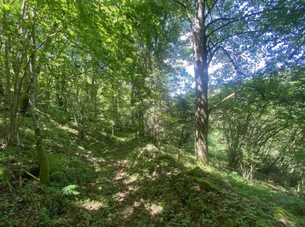 Prodej pozemku, ostatní, 3 924 m²